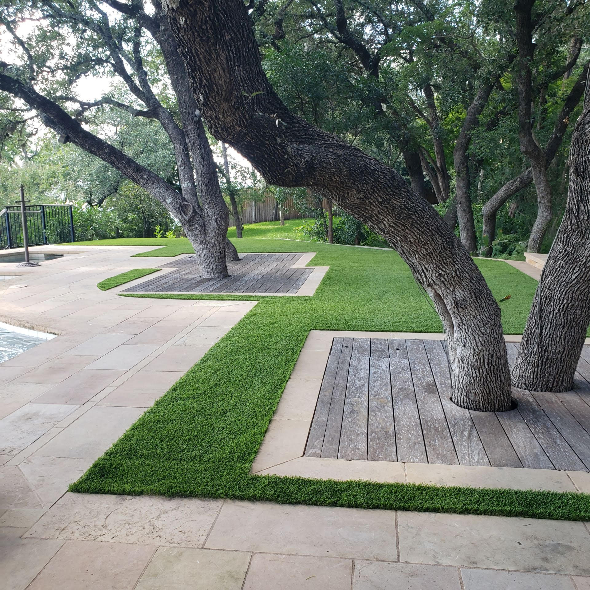 Precision turf and paving borders fitted around mature trees in an Austin outdoor space